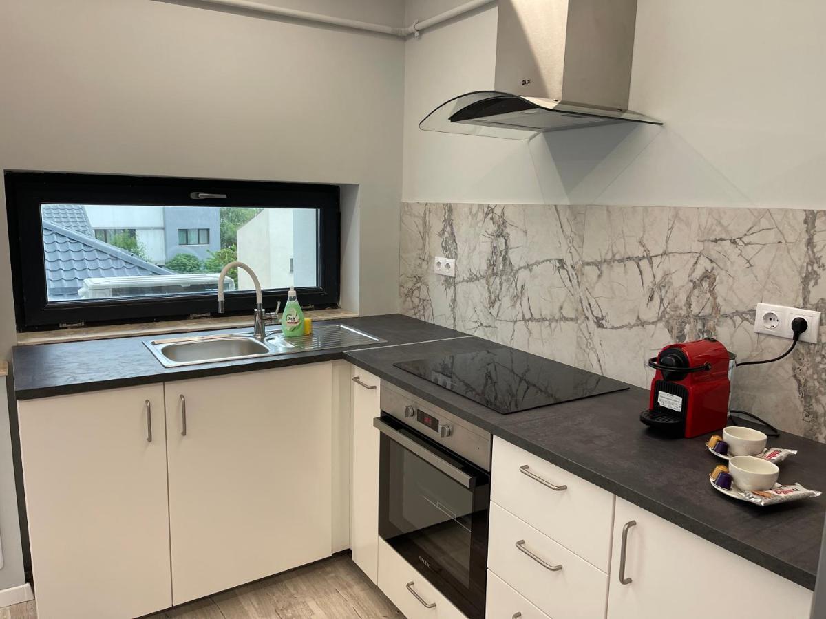 Noah Apartment Self Check-In Otopeni Kültér fotó